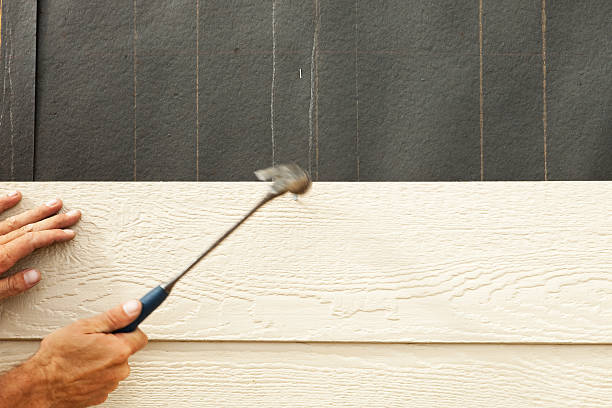 Best Storm Damage Siding Repair  in Meridianville, AL
